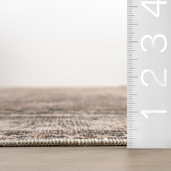 Winnie SplashGuard Distressed Medallion Machine Washable Area Rug