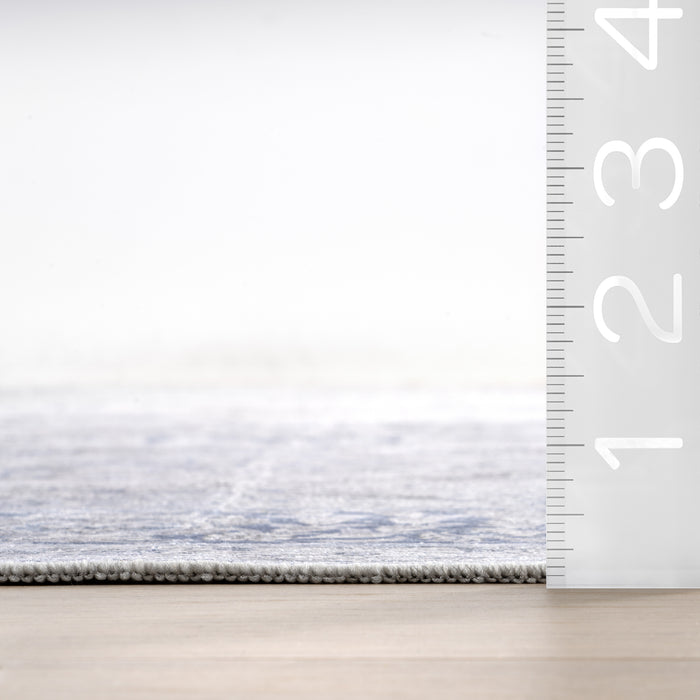 Bayberry Spill Proof Vintage Machine Washable Area Rug