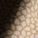 IMG_Detail4