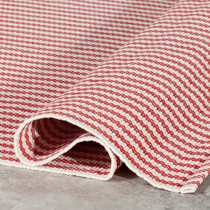 Home Conservatory Pinstripe Handwoven Indoor/Outdoor Area Rug