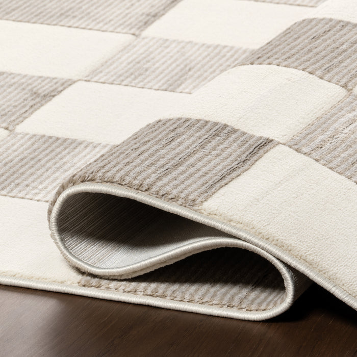 Zhuri Checkered Machine Washable Area Rug