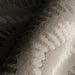 IMG_Detail4