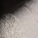 IMG_Detail4