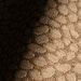 IMG_Detail4
