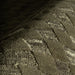 IMG_Detail4