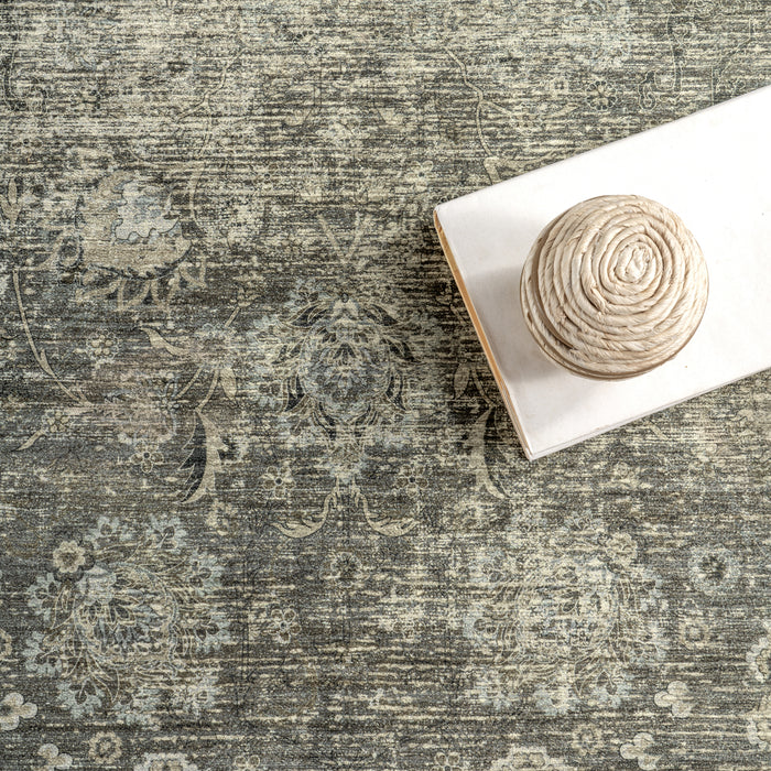 Bayberry Spill Proof Vintage Machine Washable Area Rug