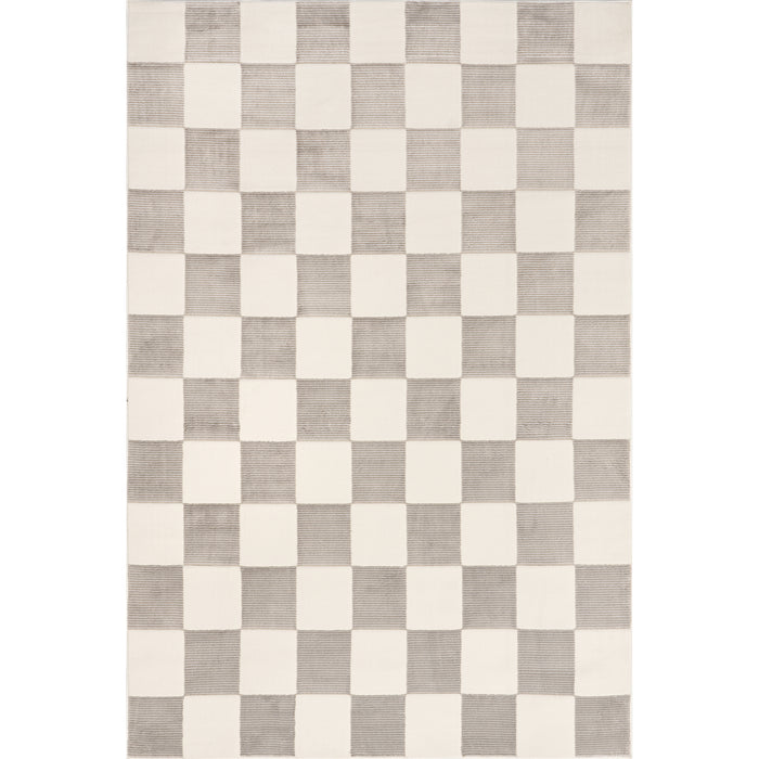 Zhuri Checkered Machine Washable Area Rug
