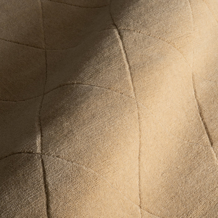 IMG_Detail4