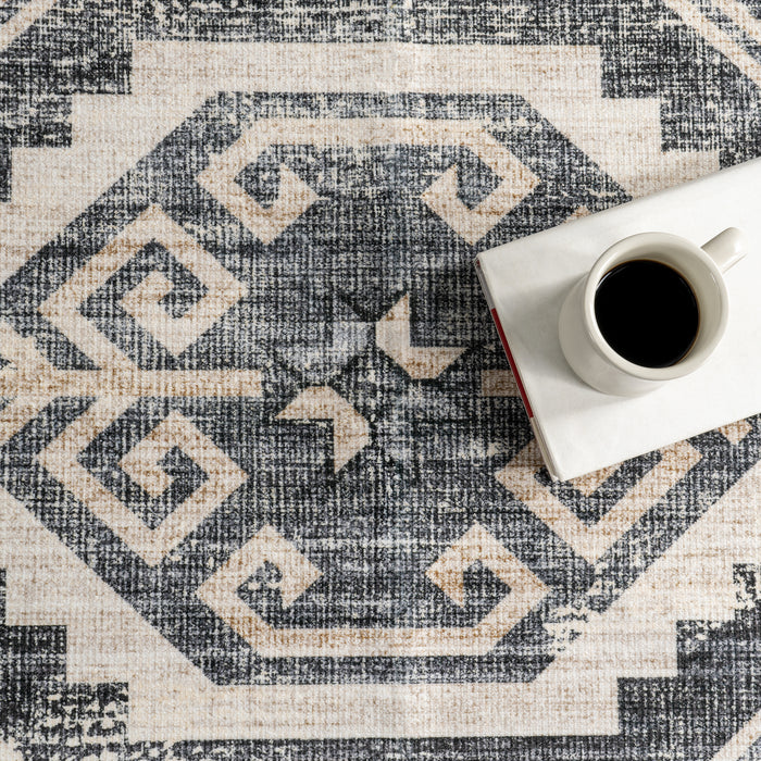 Nuloom Amyra SplashGuard Machine Washable Area Rug