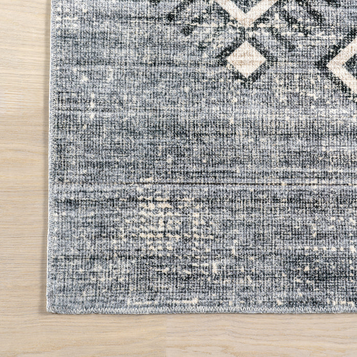 Nuloom Amyra SplashGuard Machine Washable Area Rug