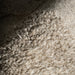 IMG_Detail4