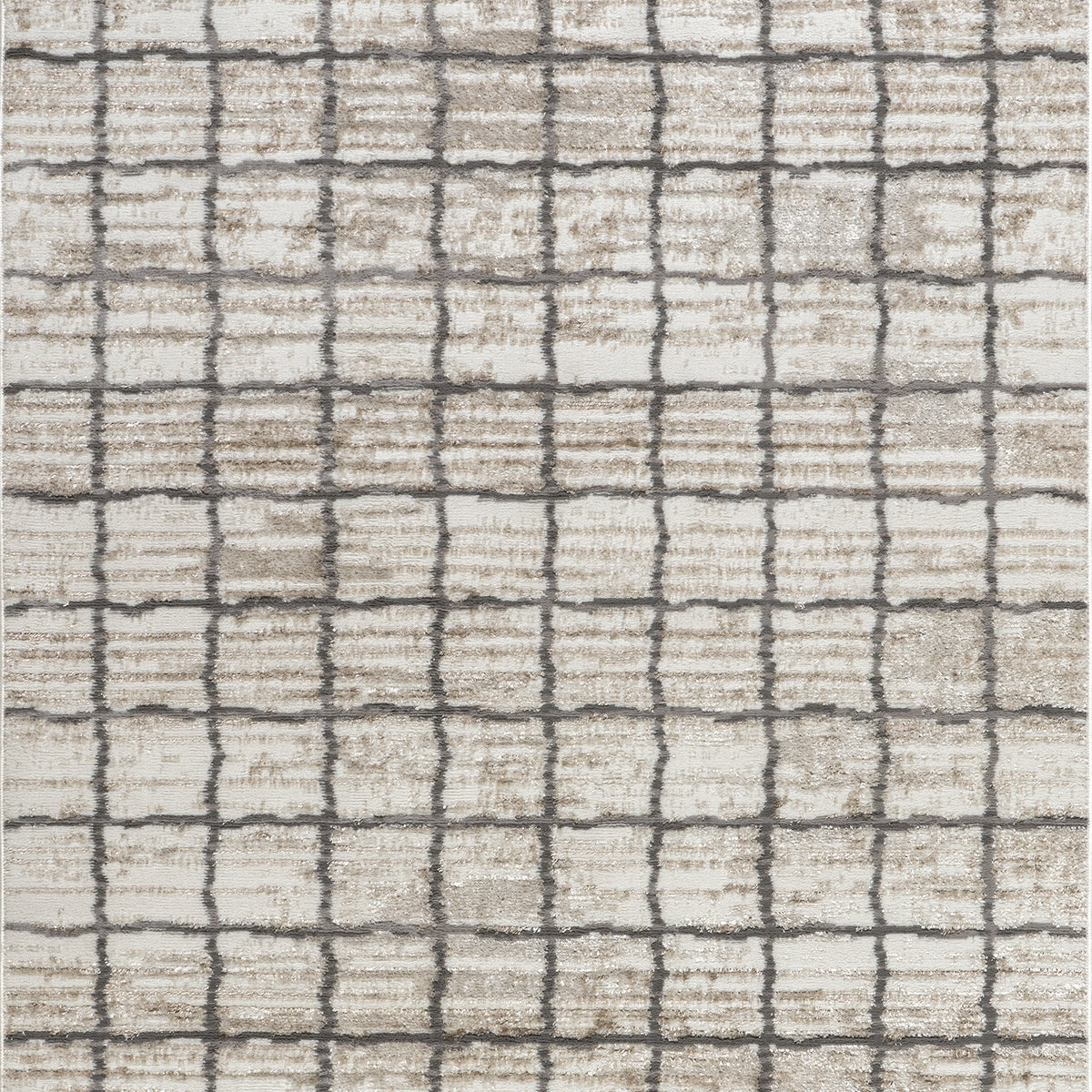 Xylia Checkered Area Rug — nuLOOM