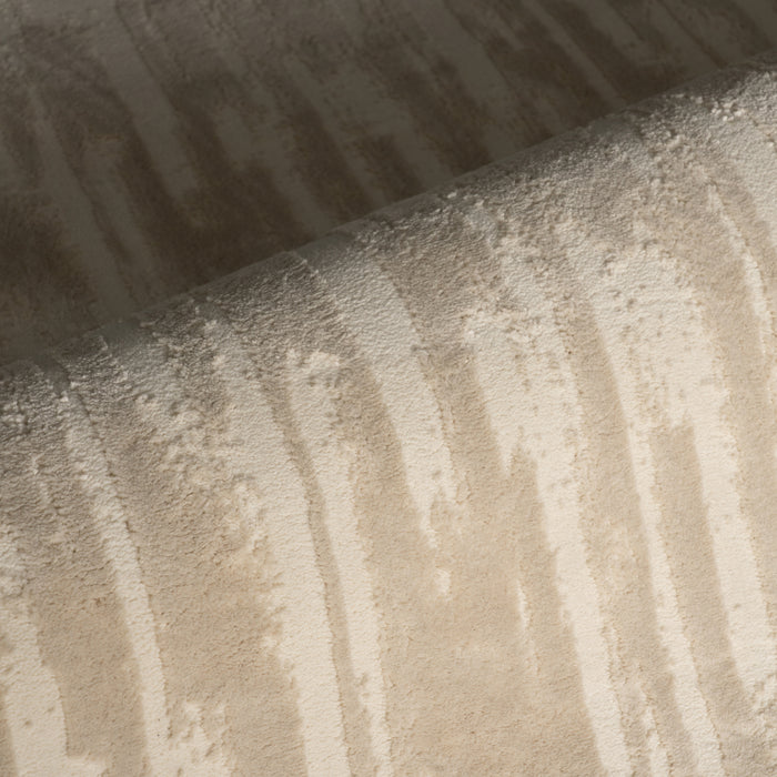 IMG_Detail4