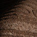 IMG_Detail4
