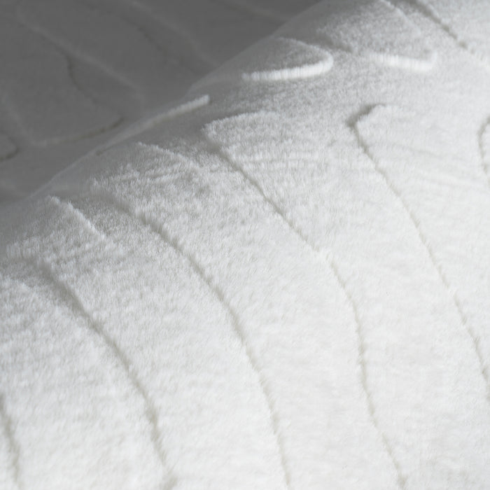 IMG_Detail4