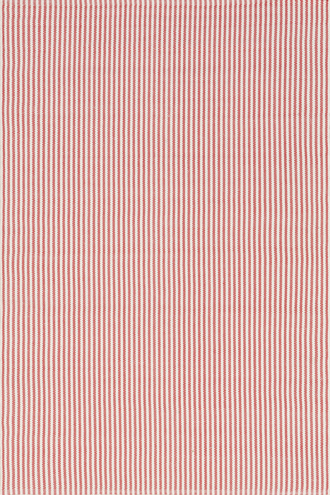 Home Conservatory Pinstripe Handwoven Indoor/Outdoor Area Rug