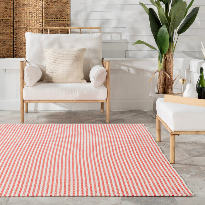 Home Conservatory Pinstripe Handwoven Indoor/Outdoor Area Rug