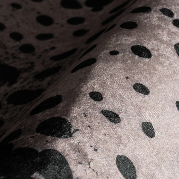 IMG_Detail4