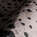 IMG_Detail4