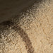 IMG_Detail4