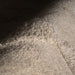 IMG_Detail4