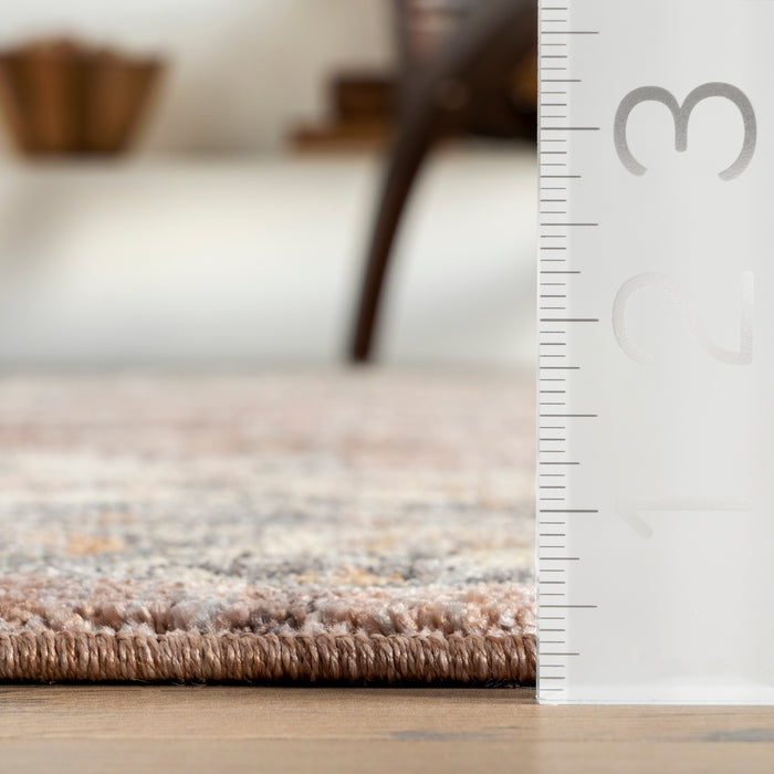 Faded Medallion Fringe Area Rug