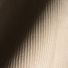 IMG_Detail4