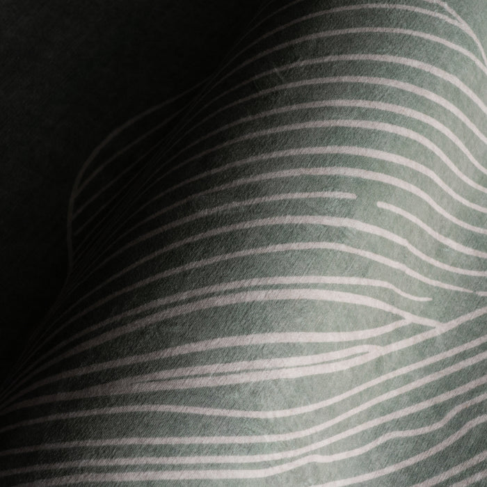 IMG_Detail4