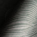 IMG_Detail4