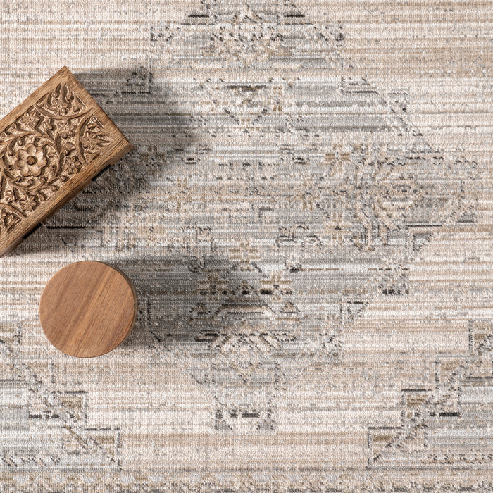 Deena Vintage Machine Washable Indoor/Outdoor Area Rug