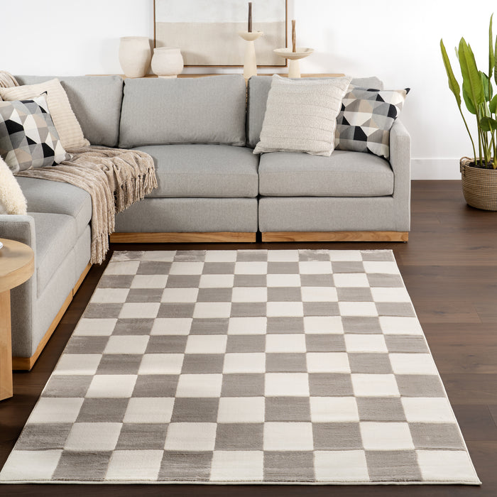 Zhuri Checkered Machine Washable Area Rug