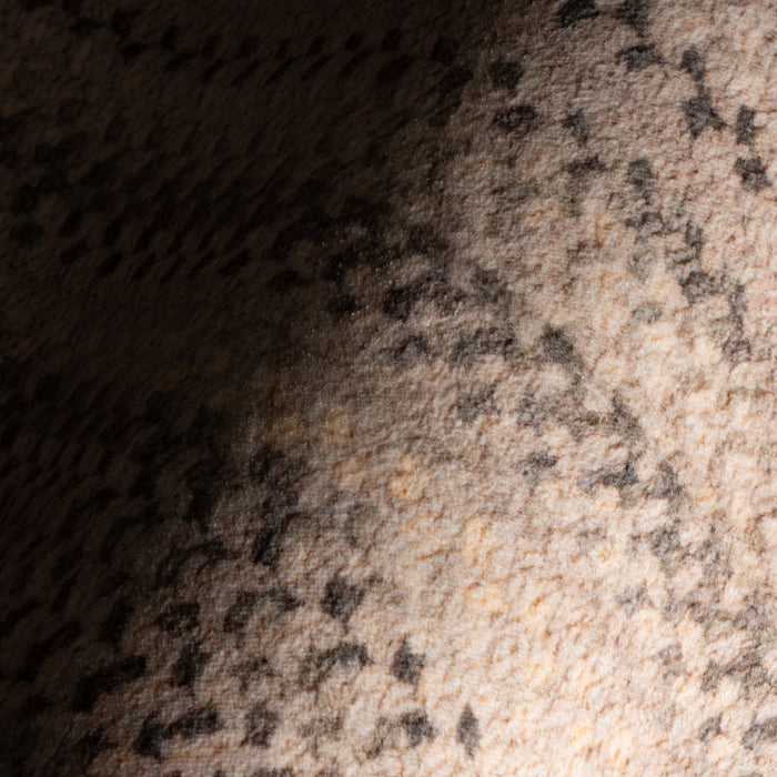 IMG_Detail4