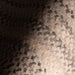 IMG_Detail4