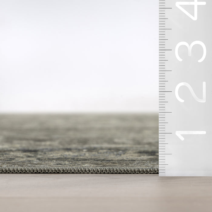 Bayberry Spill Proof Vintage Machine Washable Area Rug