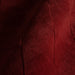 IMG_Detail4