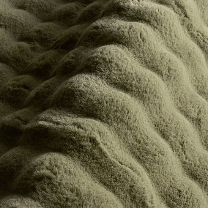 IMG_Detail4