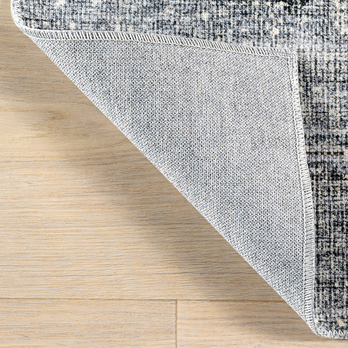 Nuloom Amyra SplashGuard Machine Washable Area Rug