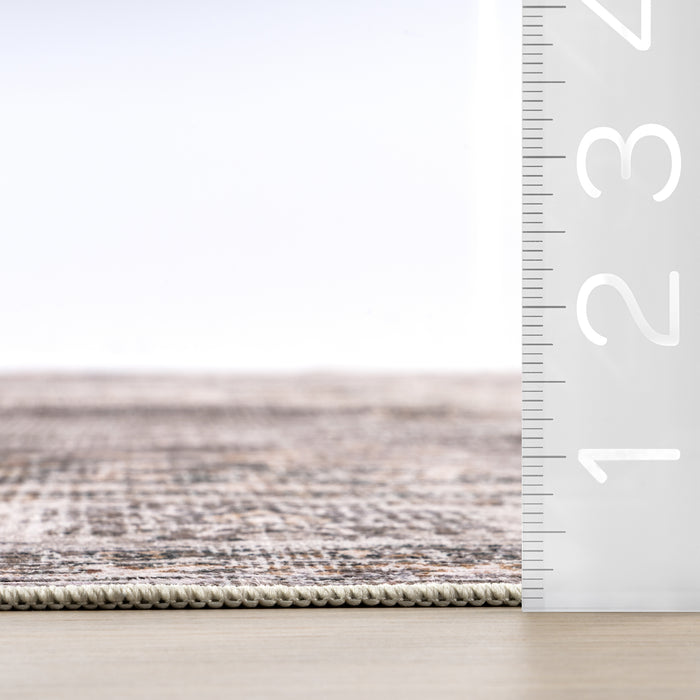 Winnie SplashGuard Distressed Medallion Machine Washable Area Rug