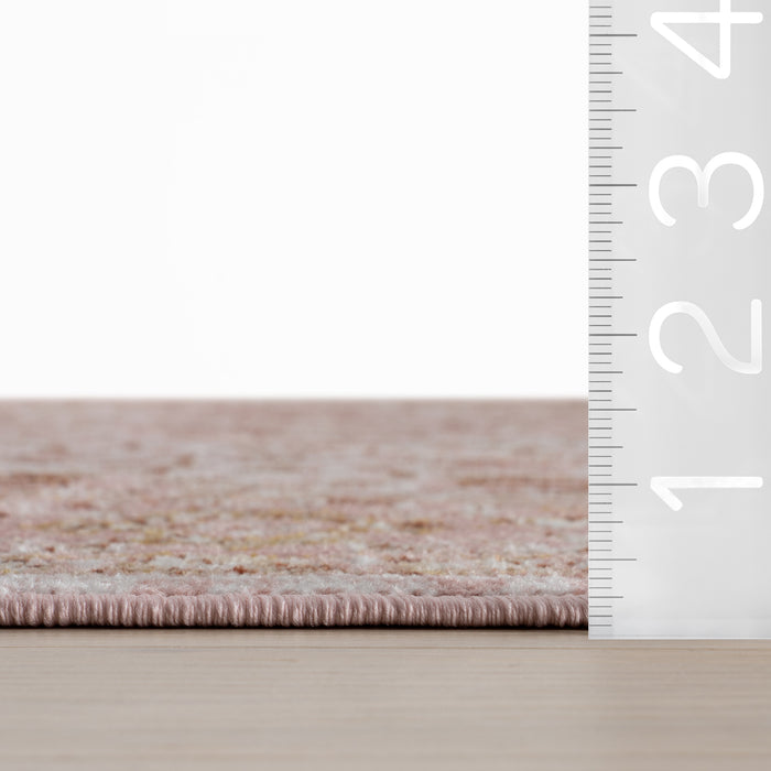 Cady Machine Washable Transitional Area Rug — nuLOOM