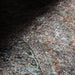 IMG_Detail4