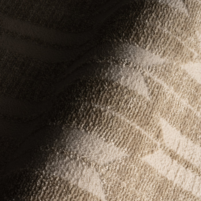 IMG_Detail4