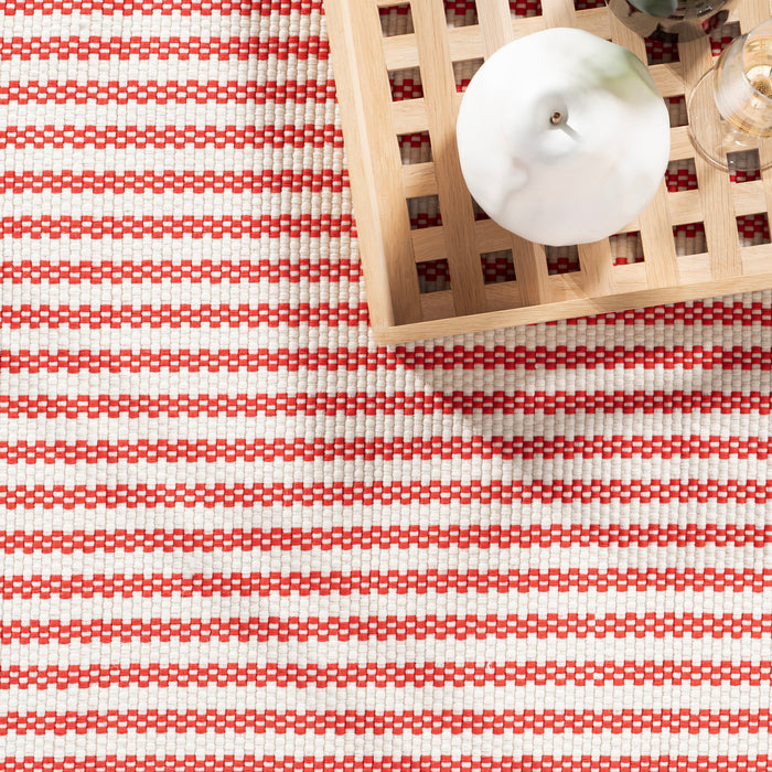 Home Conservatory Pinstripe Handwoven Indoor/Outdoor Area Rug