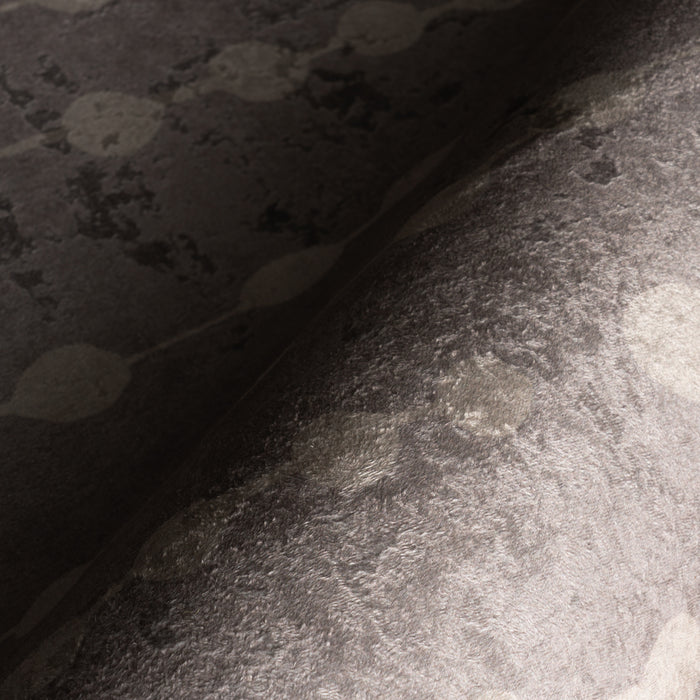 IMG_Detail4