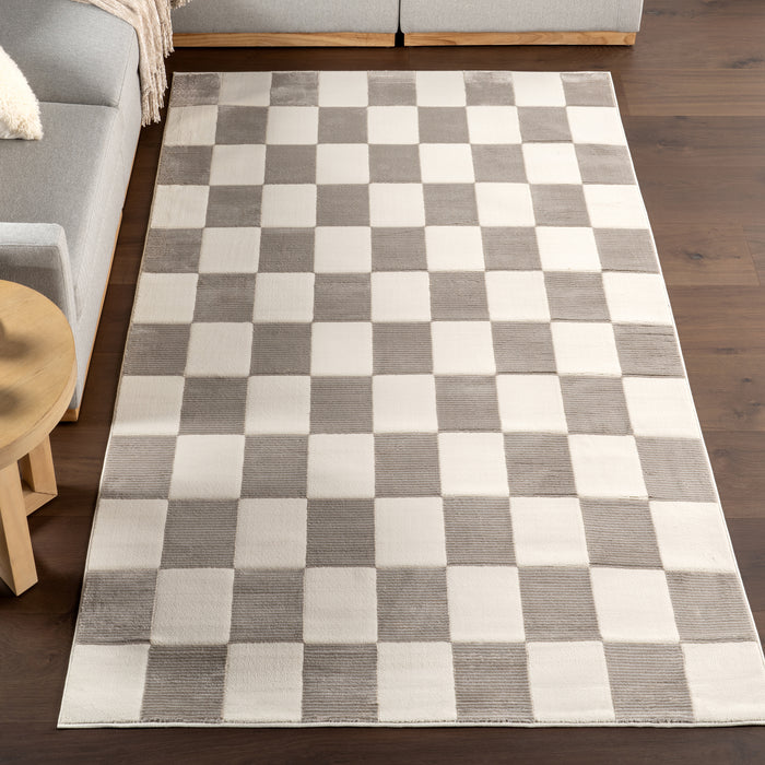 Zhuri Checkered Machine Washable Area Rug