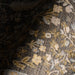 IMG_Detail4