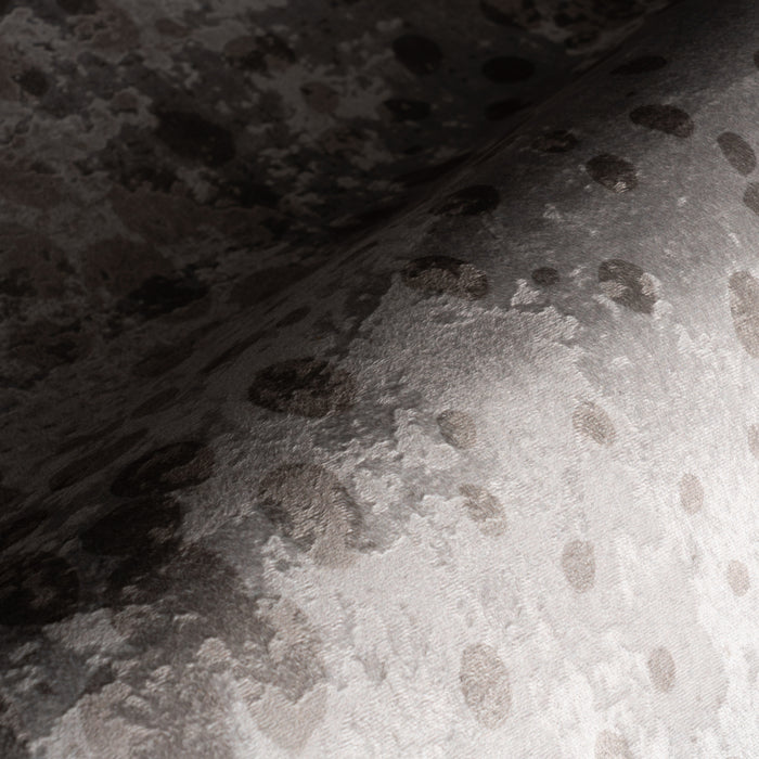 IMG_Detail4
