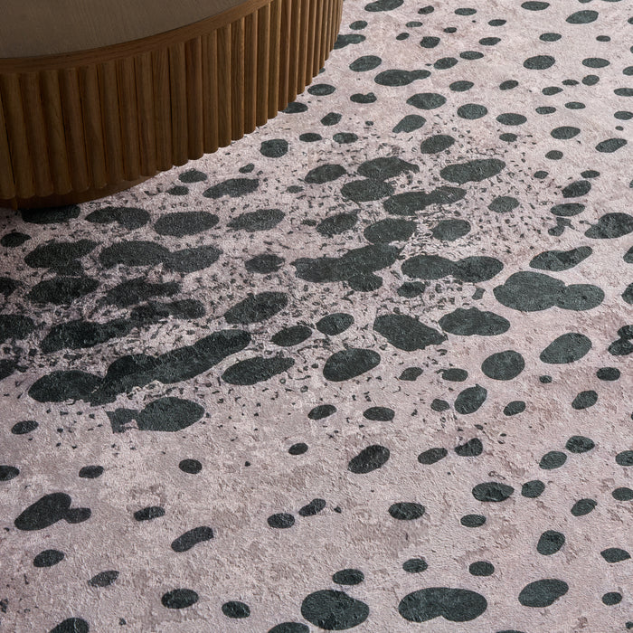 IMG_Detail2