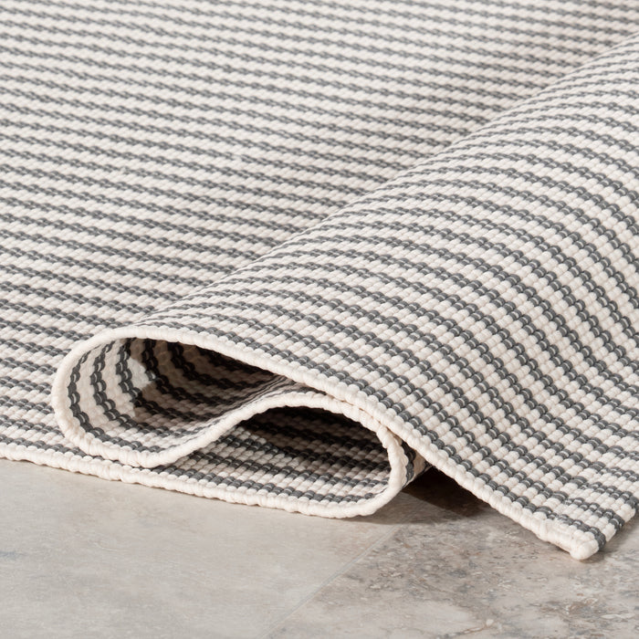 Home Conservatory Pinstripe Handwoven Indoor/Outdoor Area Rug