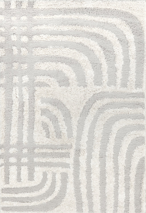 Maureen Modern Shag Area Rug