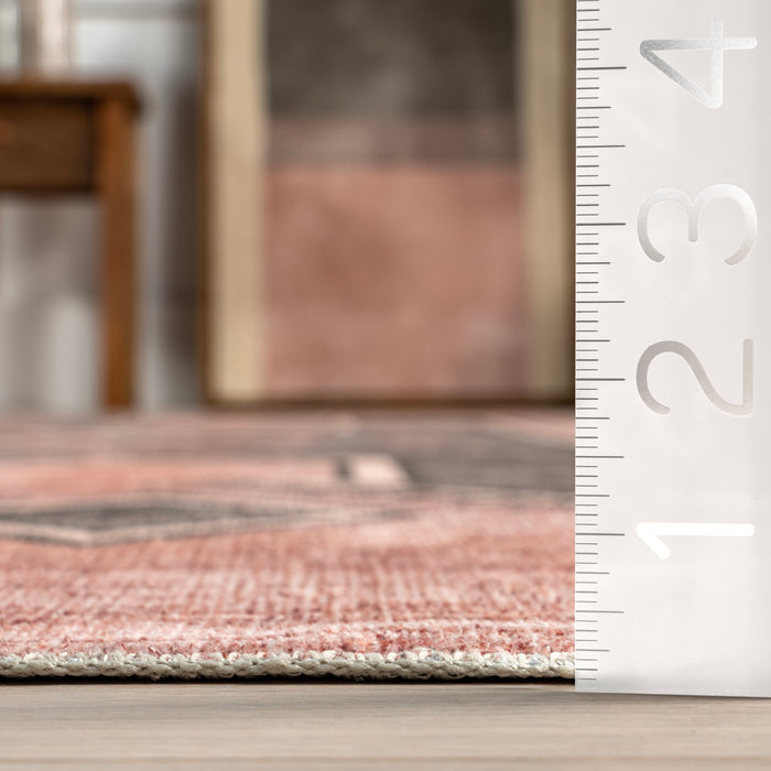 Nuloom Amyra SplashGuard Machine Washable Area Rug